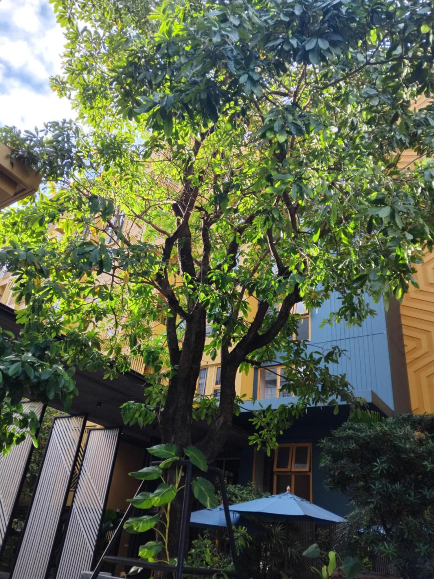 Appartamento Brissluxe At Bts Onnut Sukumvit 50 Bangkok Esterno foto